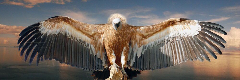 ПАТЕР ΤΟΥΜΠΑΝΟ ПАРАНОИКОС Official®️ banner