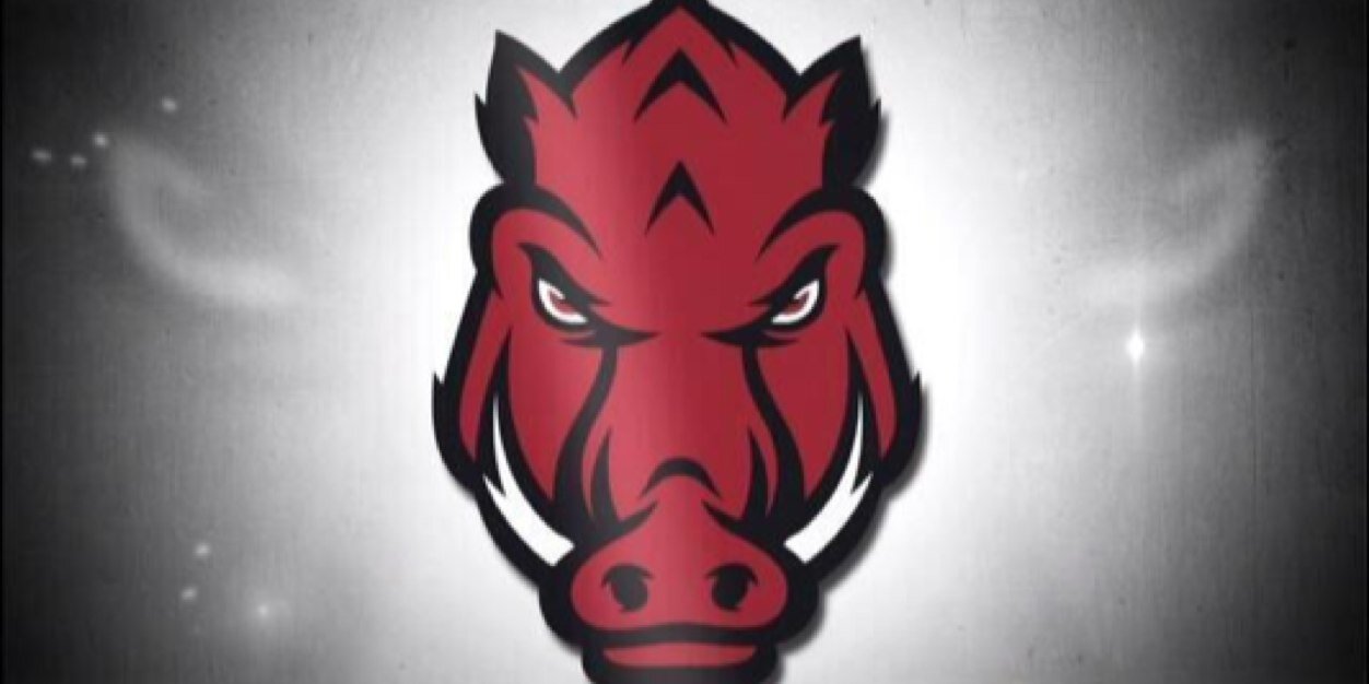 TRoseBBC's profile banner image