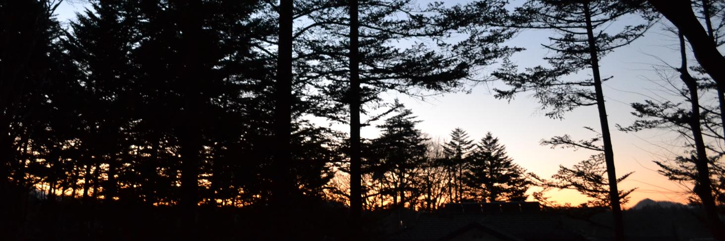 atwiatd's profile banner image