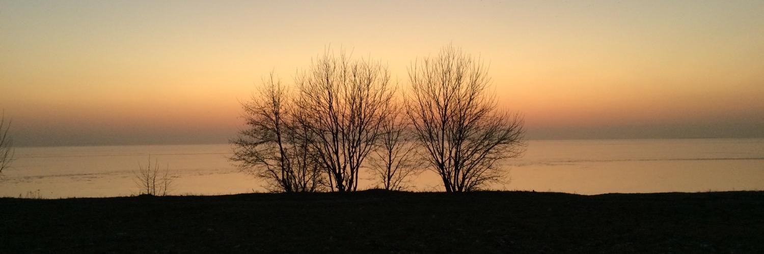 runovska's profile banner image