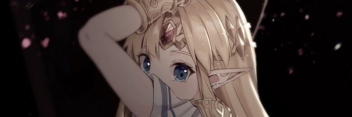 Smash_Zelda's profile banner image