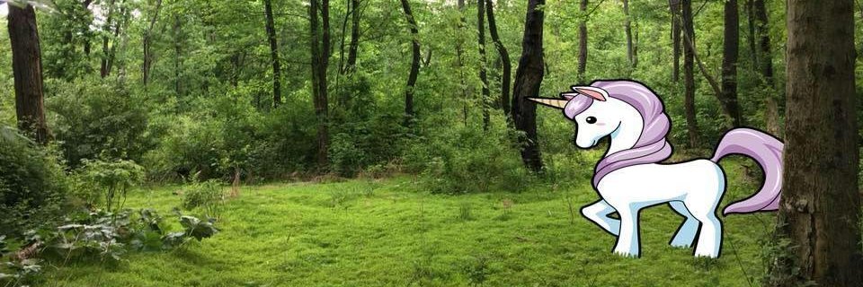 runreadwine's profile banner image