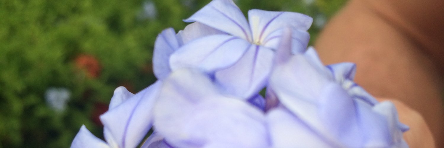 Karla O'Gormley banner