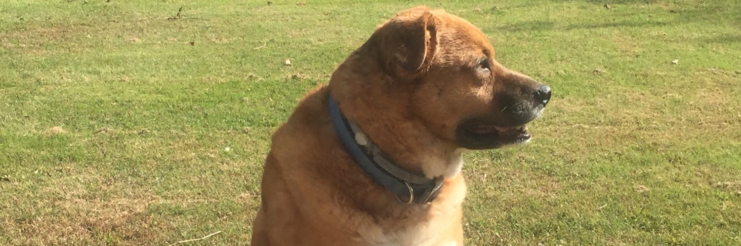 Hughesyordaddy's profile banner image