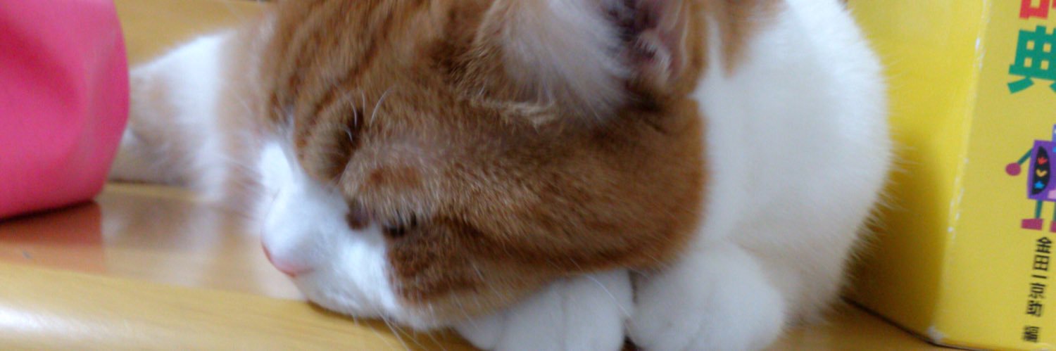 1126Cookie's profile banner image