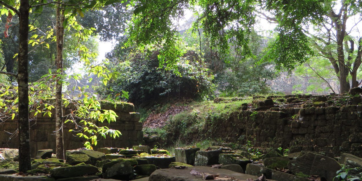 Charlotte Bradley banner