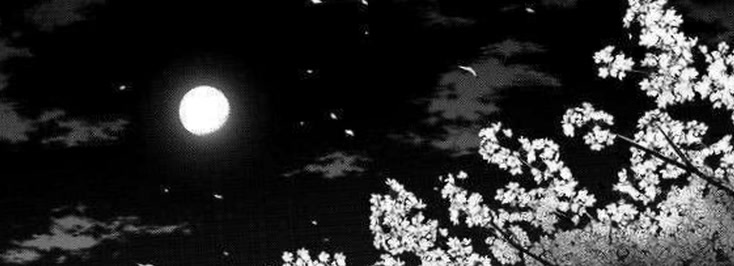 jessedibello's profile banner image