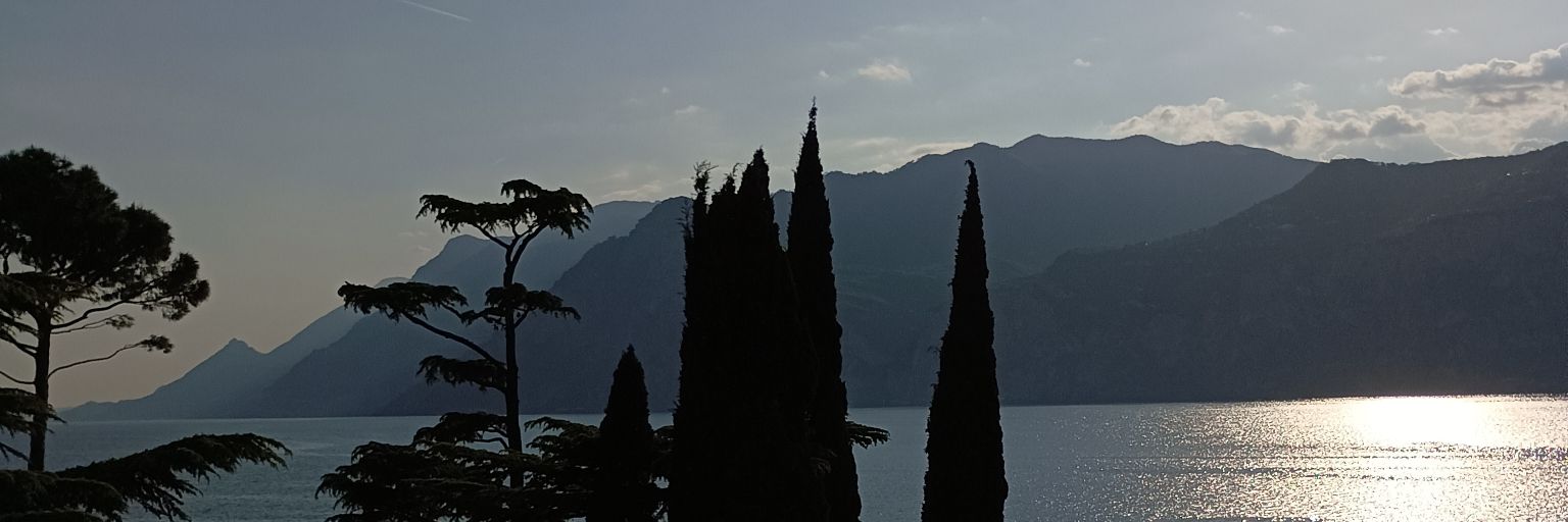 vsgc02's profile banner image