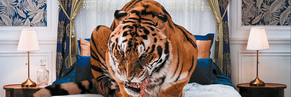 EA7_Heven's profile banner image