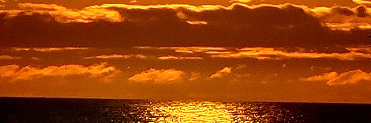 JPosvic's profile banner image