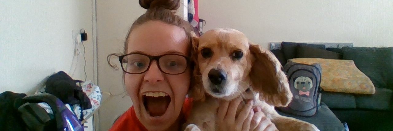 DogLassie's profile banner image