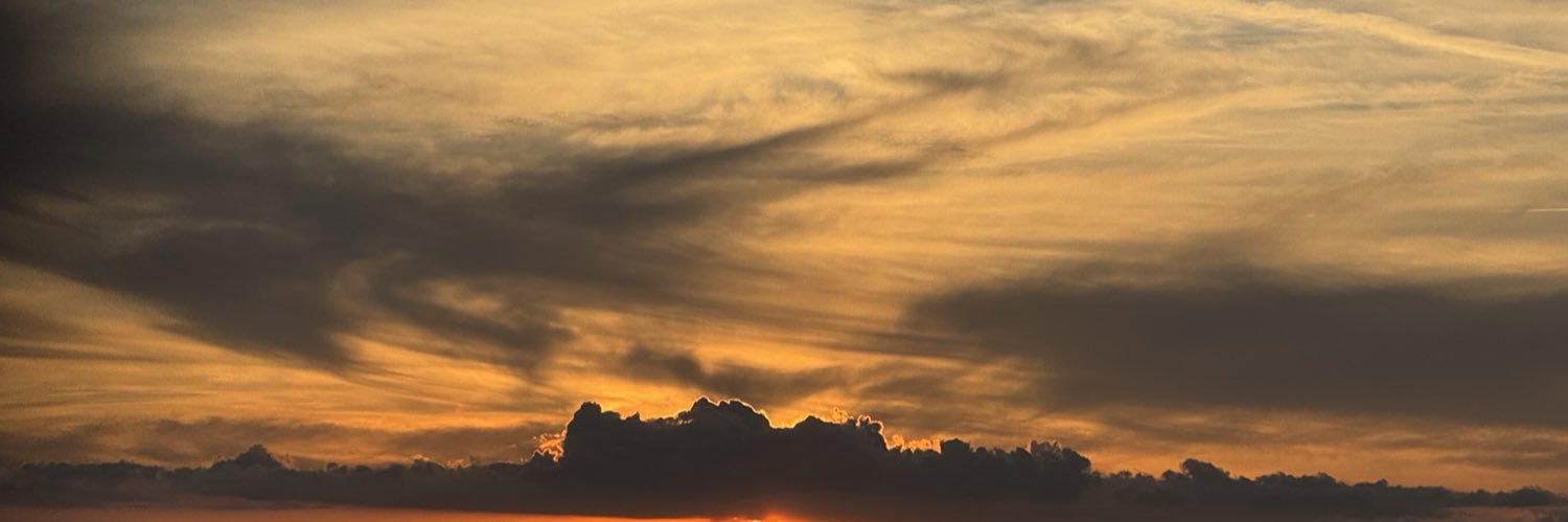 LaineyBoston's profile banner image