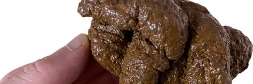 G0GETAssj4's profile banner image