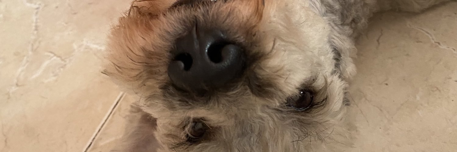 emilyjg2's profile banner image