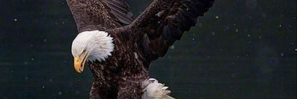 EAPACIK's profile banner image
