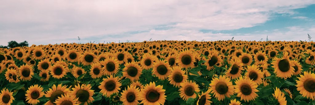 JessicaKenney_'s profile banner image