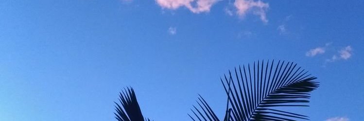 lovthaiss's profile banner image