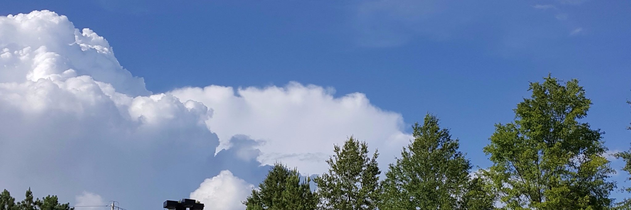 South Fulton Living banner