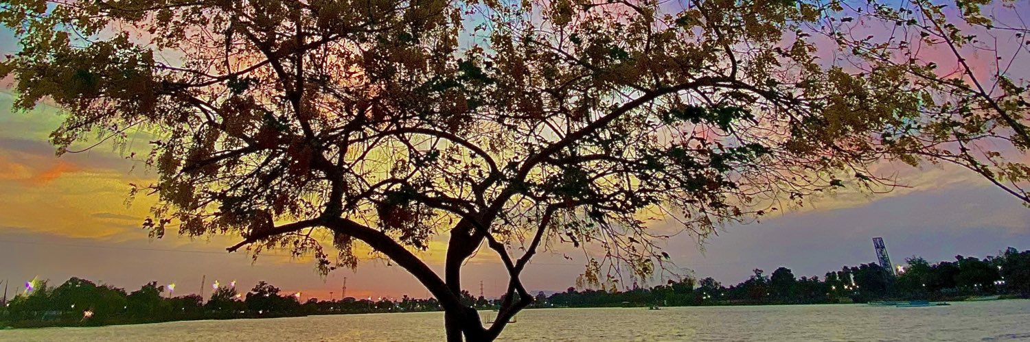 katiamacs's profile banner image