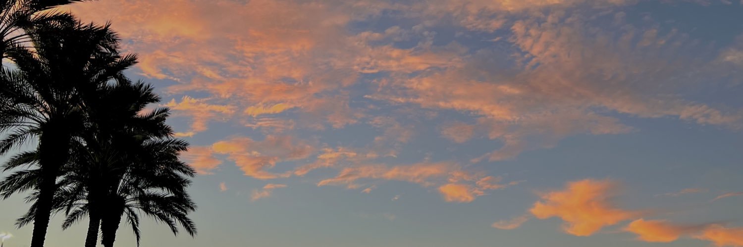 itsvarisa's profile banner image