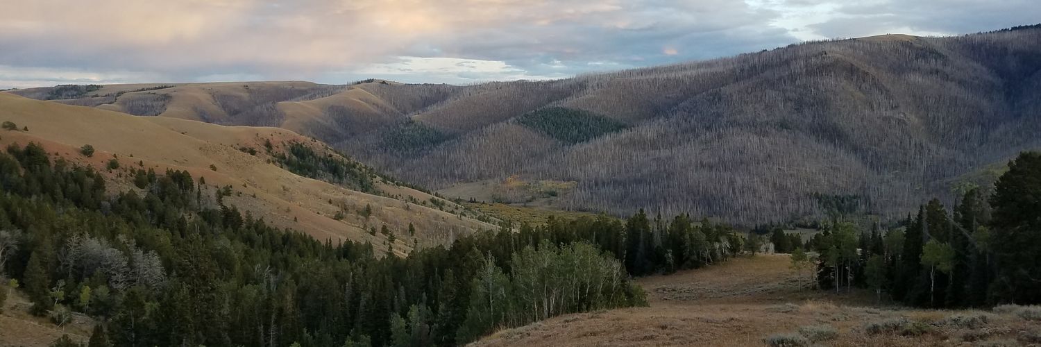 pat_core's profile banner image