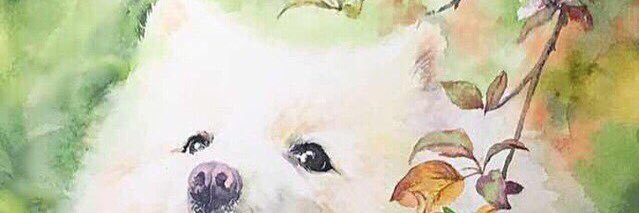 metowolf banner