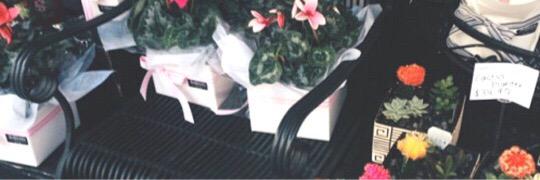 o2lperfectioon's profile banner image