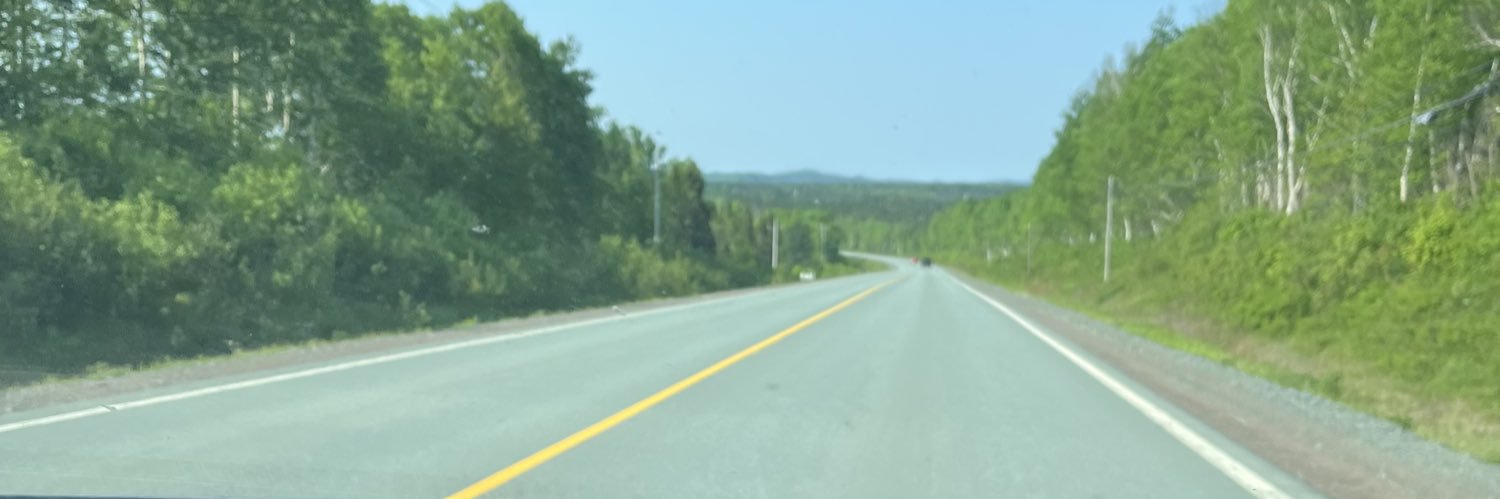 Debbie Stuckless 🇨🇦🫐 banner