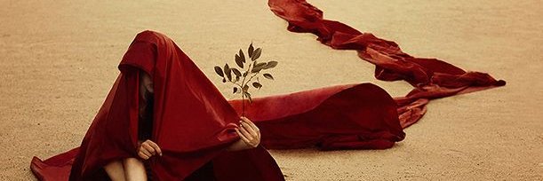 Basmeeta's profile banner image