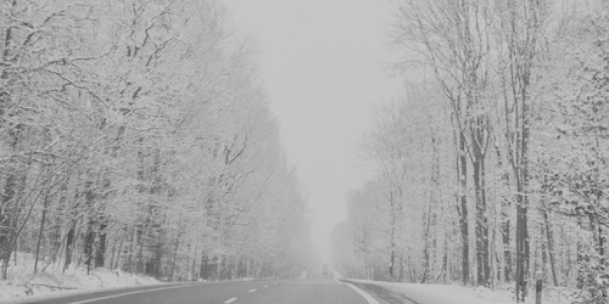 JessicaMFRP's profile banner image