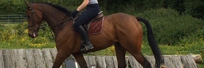 cstephanie98's profile banner image