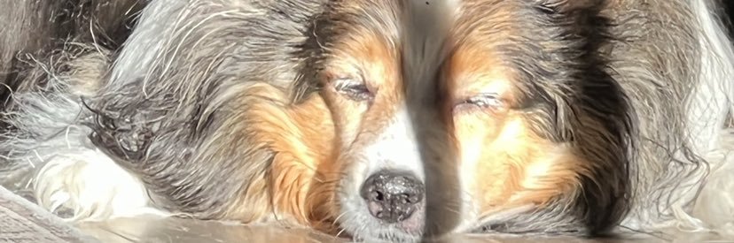 Fuel for Fire banner