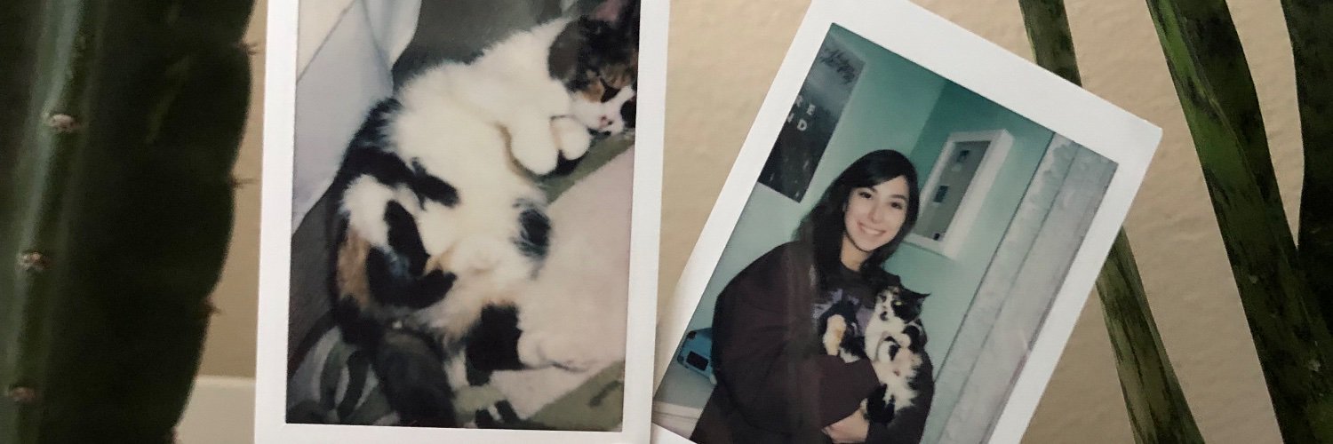 AlexxMcCartneyy's profile banner image