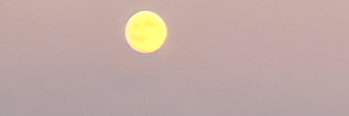 Jlpzx3's profile banner image
