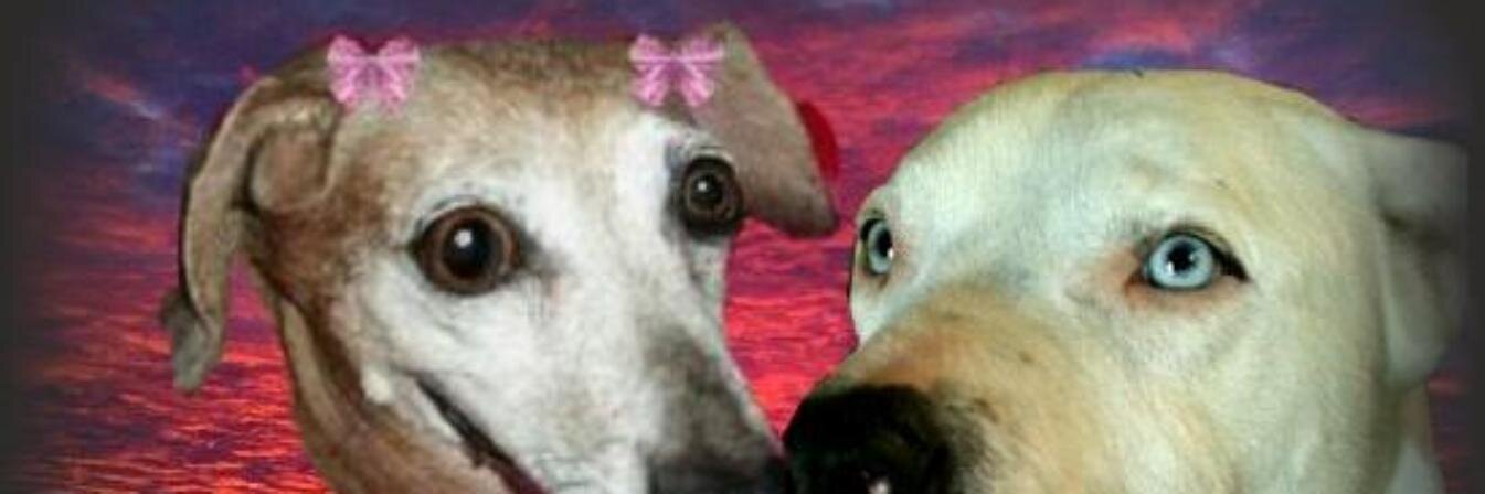 BeauHopson's profile banner image