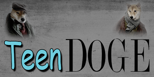 TeenDoge's profile banner image