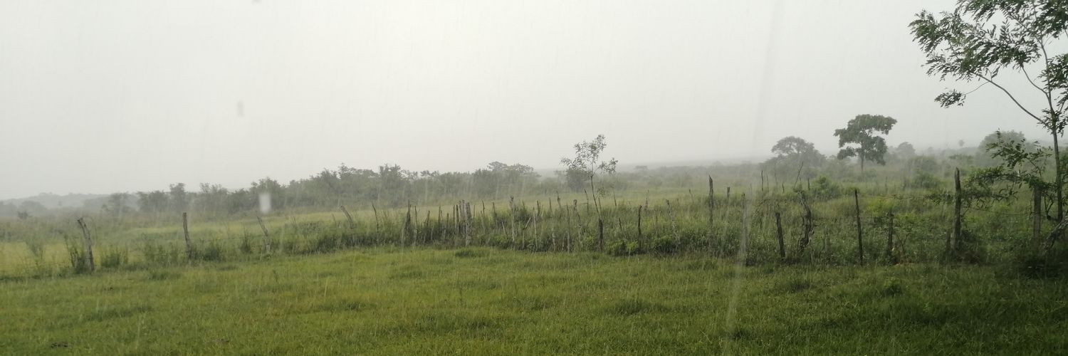 Zayas_Matii's profile banner image