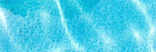 wpmxo's profile banner image