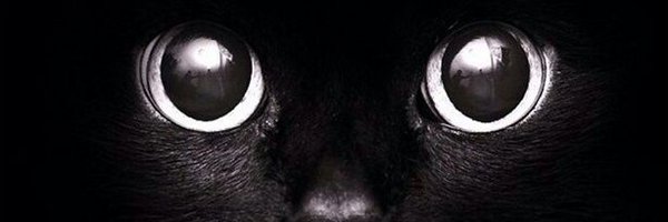 _daniegra Profile Banner