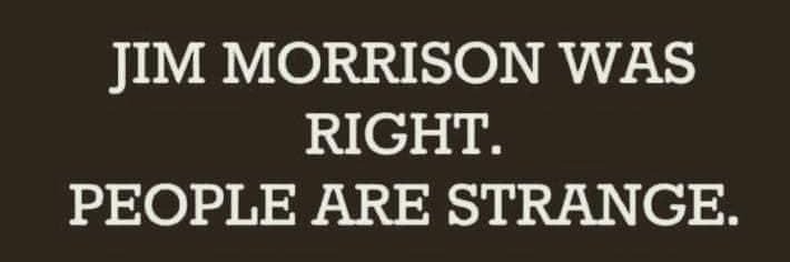 CurleyMom's profile banner image