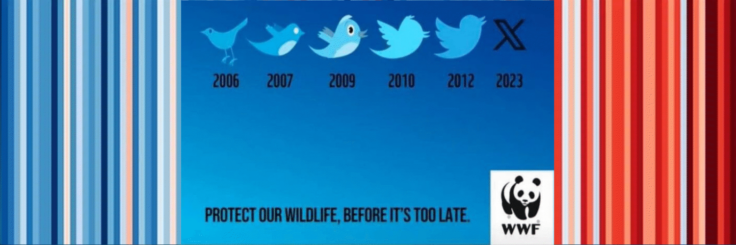 ⛰ Grégoire Japiot banner