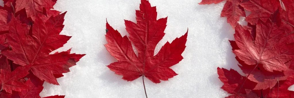 St. John Wright banner