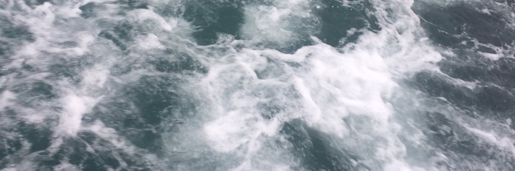 voronets_s's profile banner image