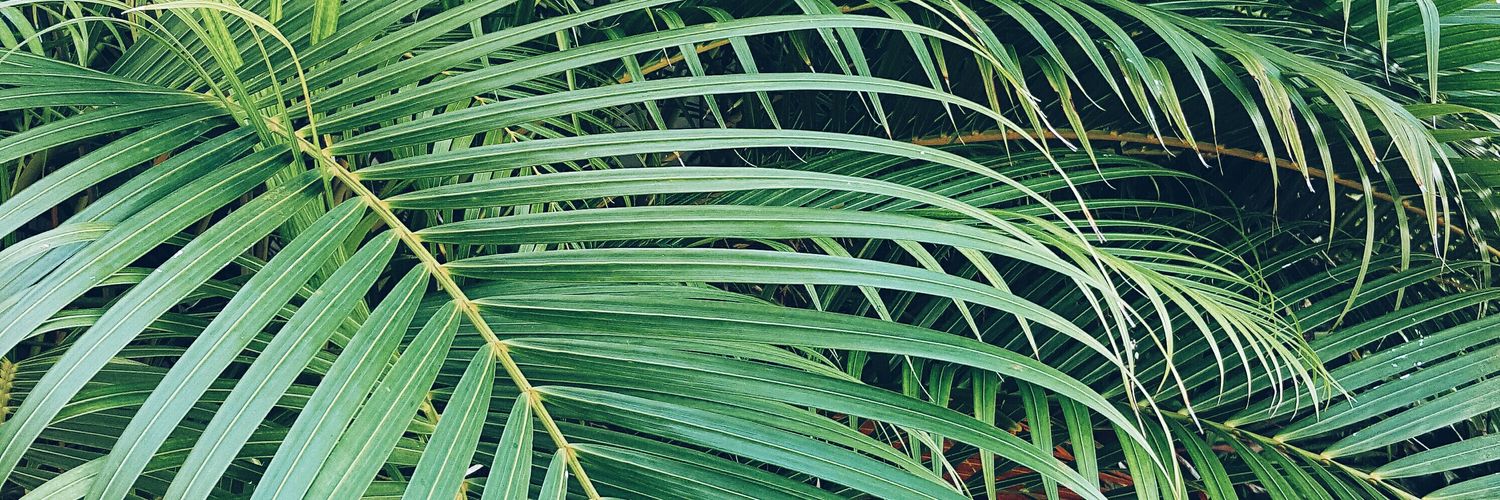 TheAssaCisse's profile banner image