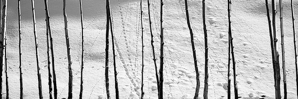 adriyantodewo Profile Banner