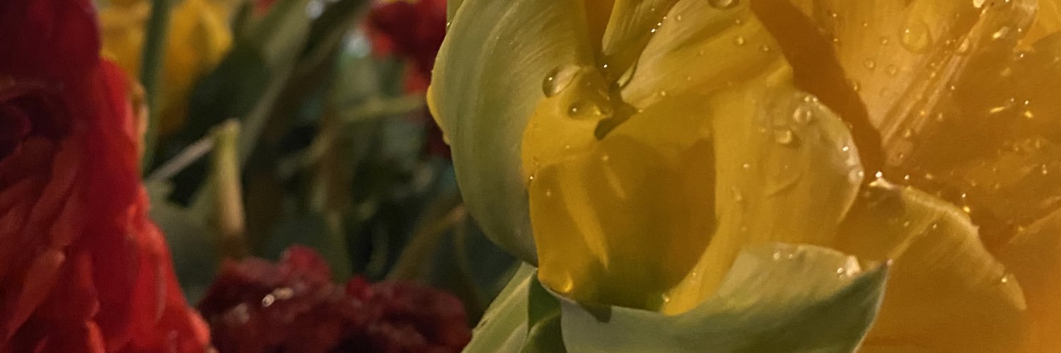 crispygummy's profile banner image