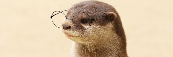 dennydand's profile banner image