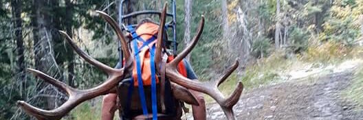 bbuck11965's profile banner image