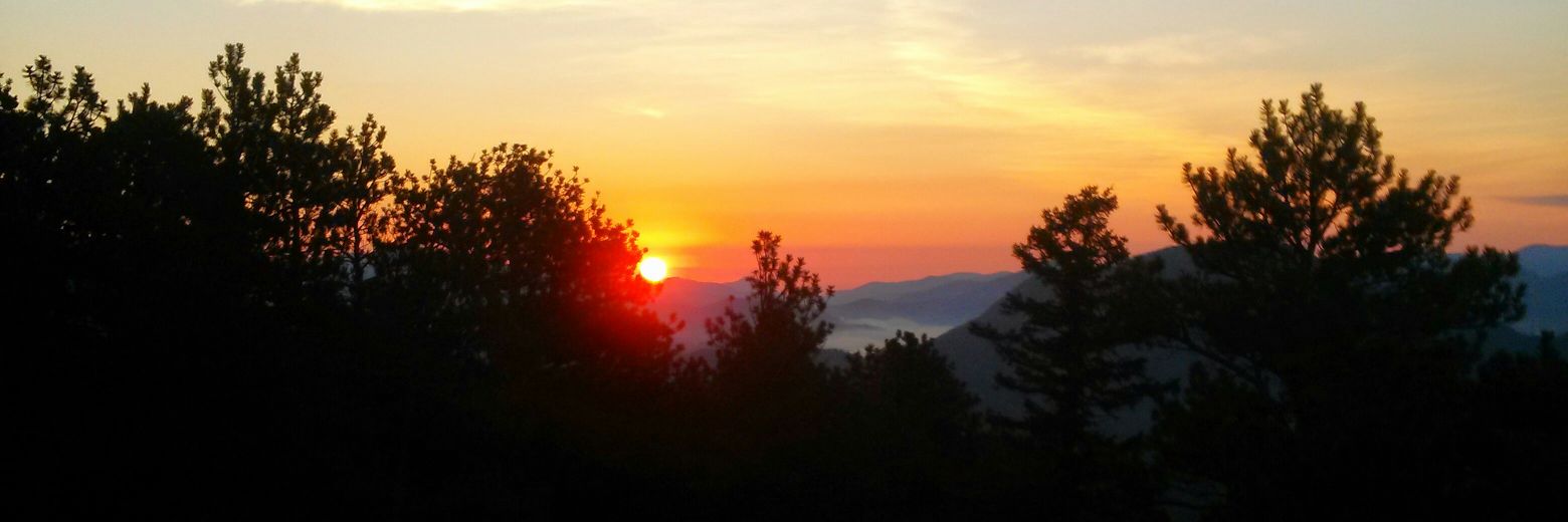 dnussbaum12's profile banner image