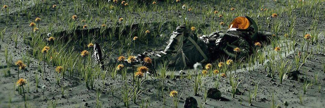 Mr. Rodriguez_ banner